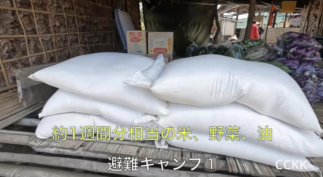 【11月分継続寄付活動報告】